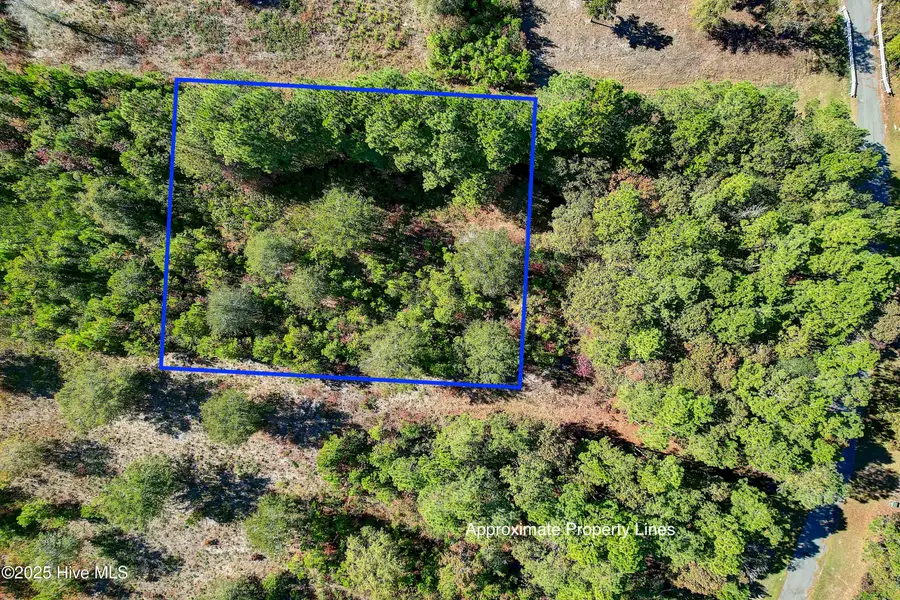 2021 Sea Lavender Road Sw, Supply, NC 28462 - Image #3