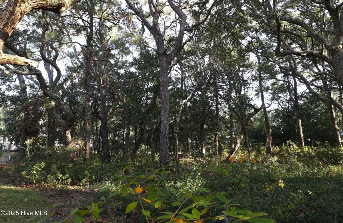 111 SE 78th Street, Oak Island, NC 28465 - Image #1