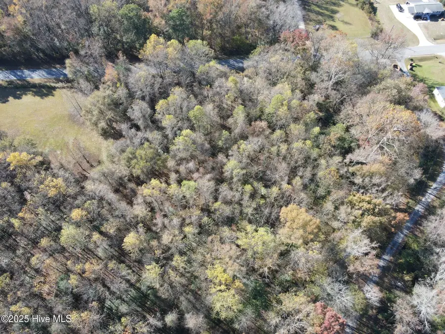 Lot 1 Alton Phillips Road, Kinston, NC 28504 - Image #3