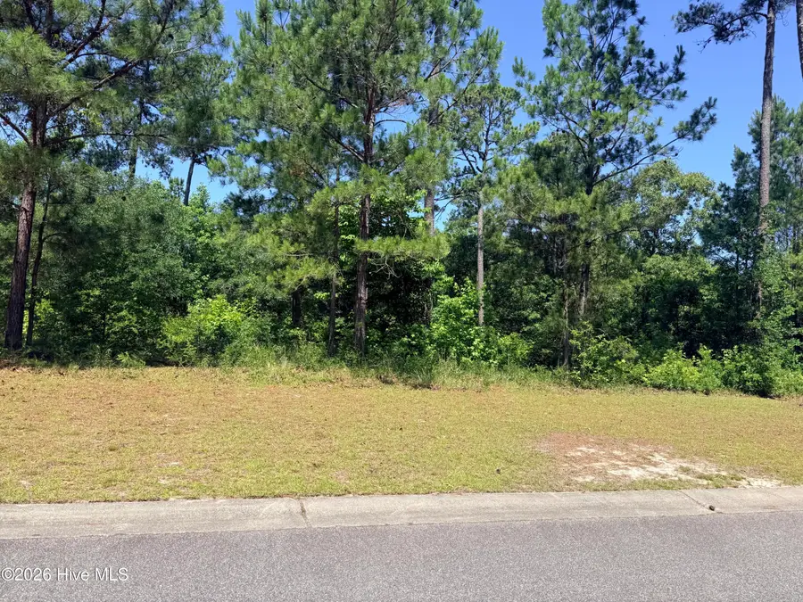 3808 Silver Melon Road Ne, Leland, NC 28451 - #2