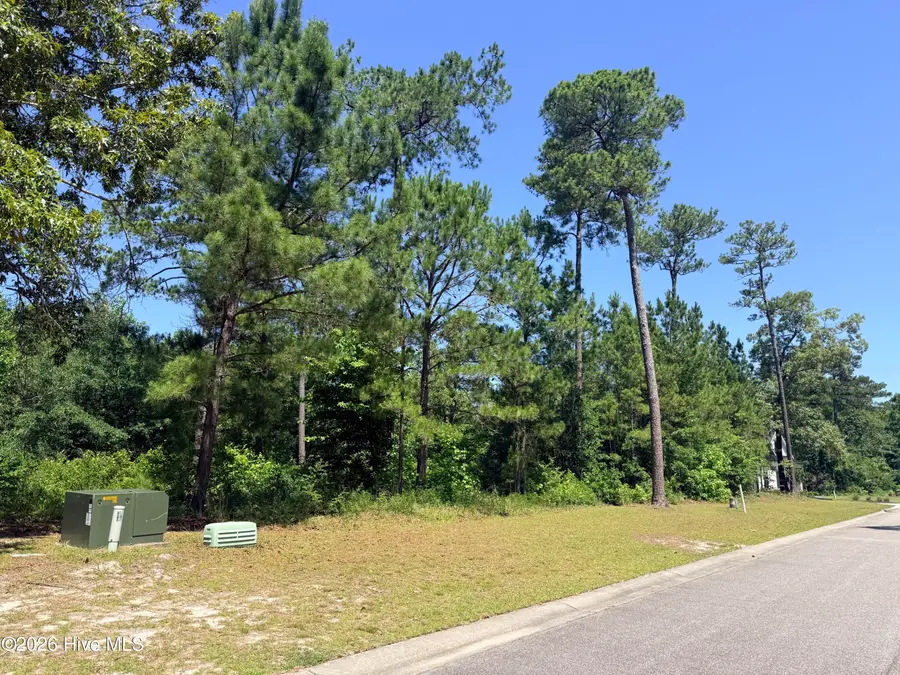 3808 Silver Melon Road Ne, Leland, NC 28451 - #3