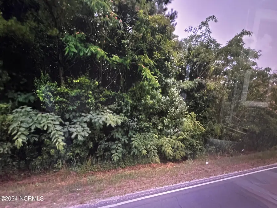 Tbd S Robeson Road, Rowland, NC 28383 - Image #3