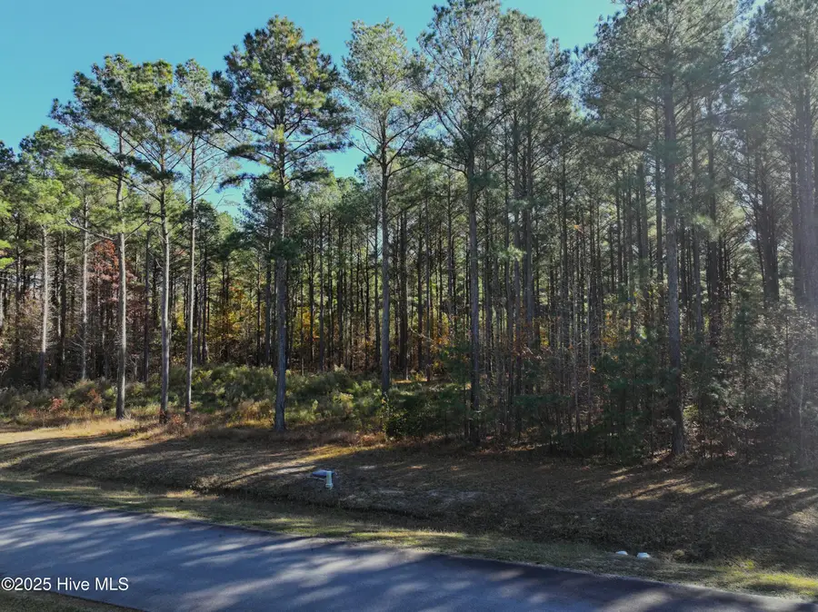 213 Nautical Way, Edenton, NC 27932 - Image #2