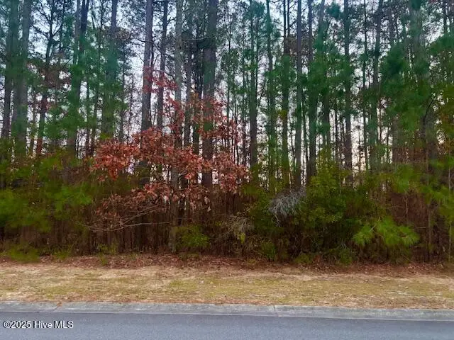 3094 Belmont Lake Drive, Rocky Mount, NC 27804 - Image #1