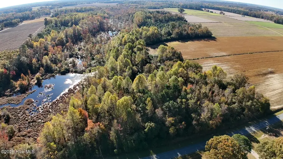 294 James Price Road, Seven Springs, NC 28578 - Image #2