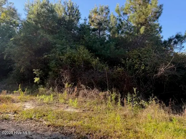 0 Knight Way Se, Winnabow, NC 28479 - Image #2
