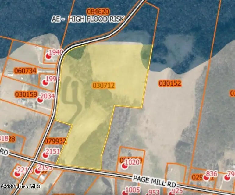 2045 Dolph Lewis Road, Cerro Gordo, NC 28430 - #2