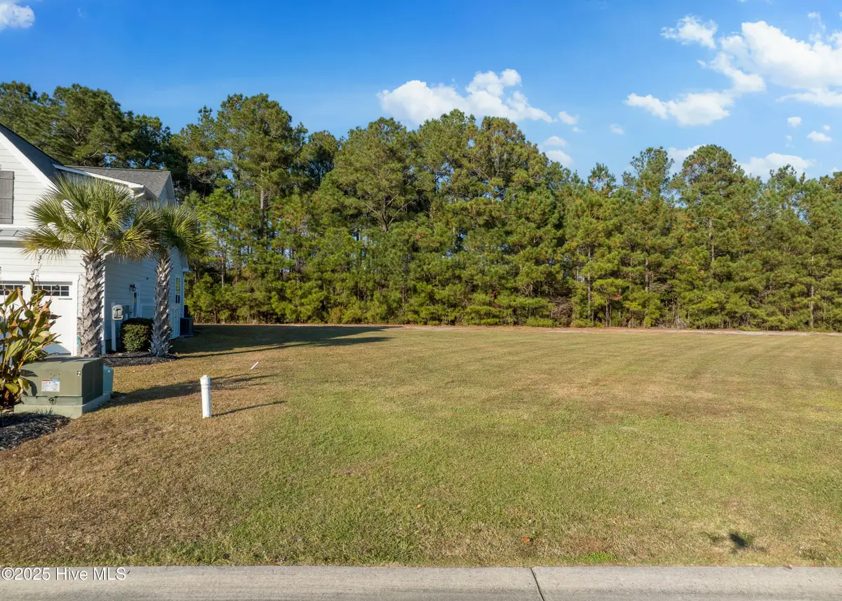 193 Twining Rose Lane, Holly Ridge, NC 28445 - Image #1