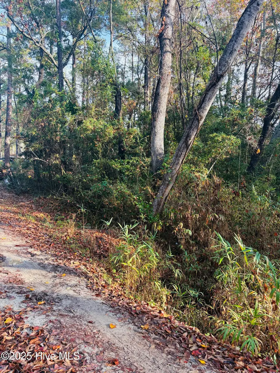 1574 Hollywood Street Sw, Shallotte, NC 28470 - Image #3