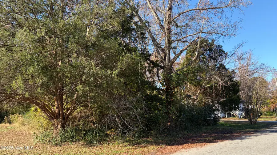 0 George Street, Belhaven, NC 27810 - Image #2