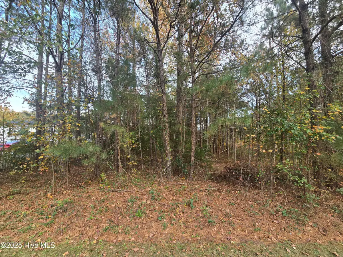 1275 Skipper Run Drive Sw, Supply, NC 28462 - Image #1