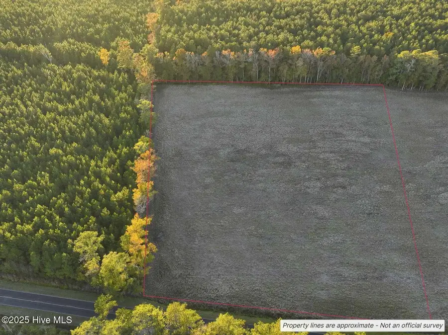 1062 Creek Road, Whiteville, NC 28472 - Image #2