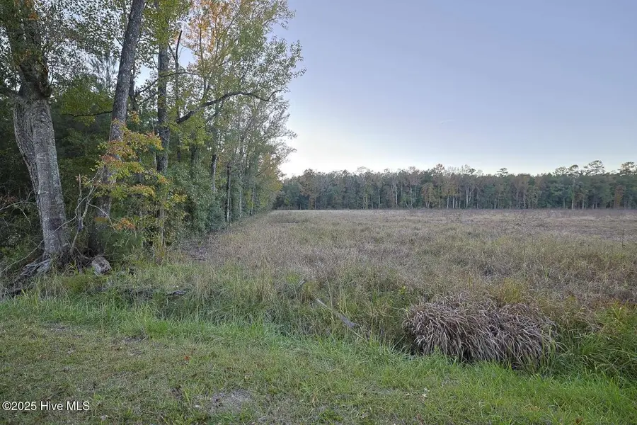 1062 Creek Road, Whiteville, NC 28472 - Image #3