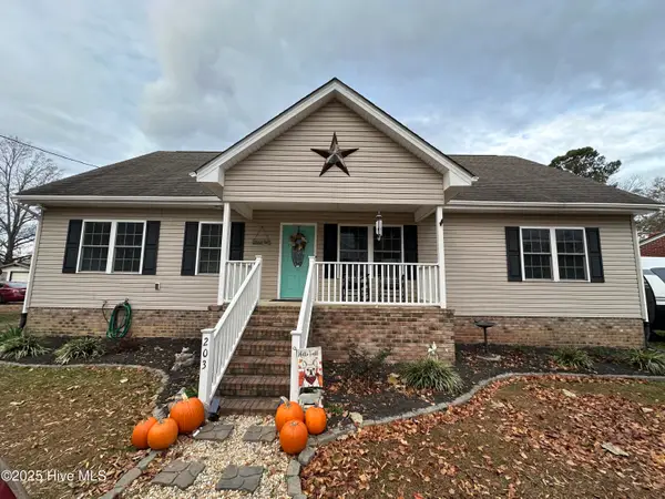 203 Garriss Street, Conway, NC 27820