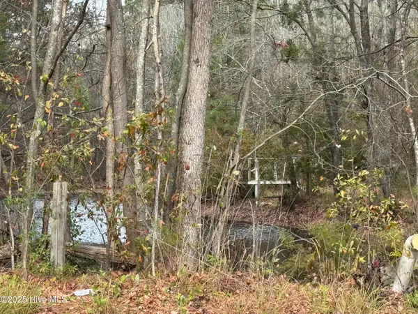 0 Boyd Lake Road, Hamlet, NC 28345