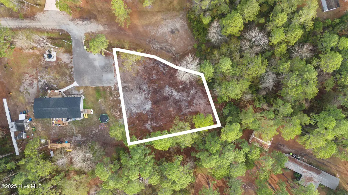 Lot 10 Dorado Lane, Boiling Spring Lakes, NC 28461 - Image #1