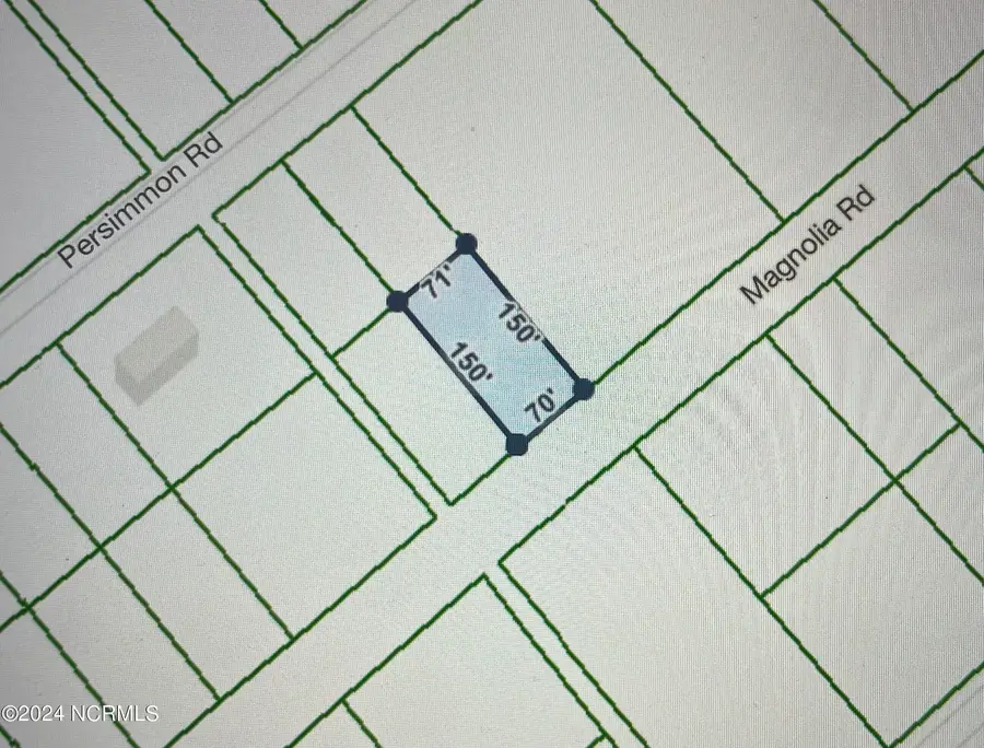 323 Magnolia Road Road, Boiling Spring Lakes, NC 28461 - Image #2