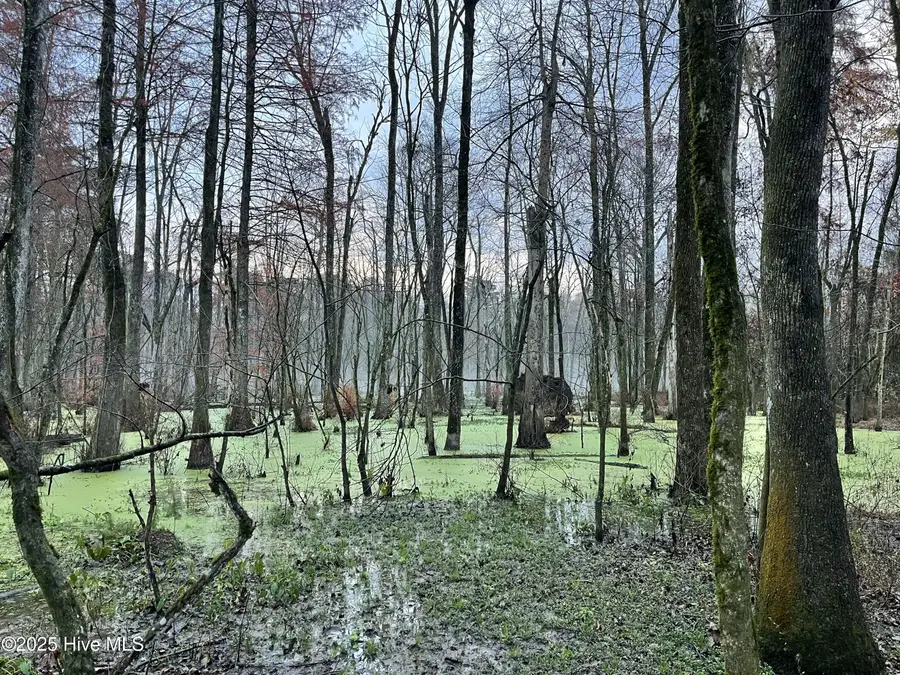 00 Gurman Powell Road, Kenansville, NC 28349 - Image #3