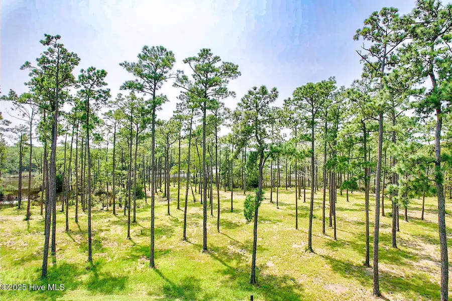 206 River Watch Road, Oriental, NC 28571 - Image #3