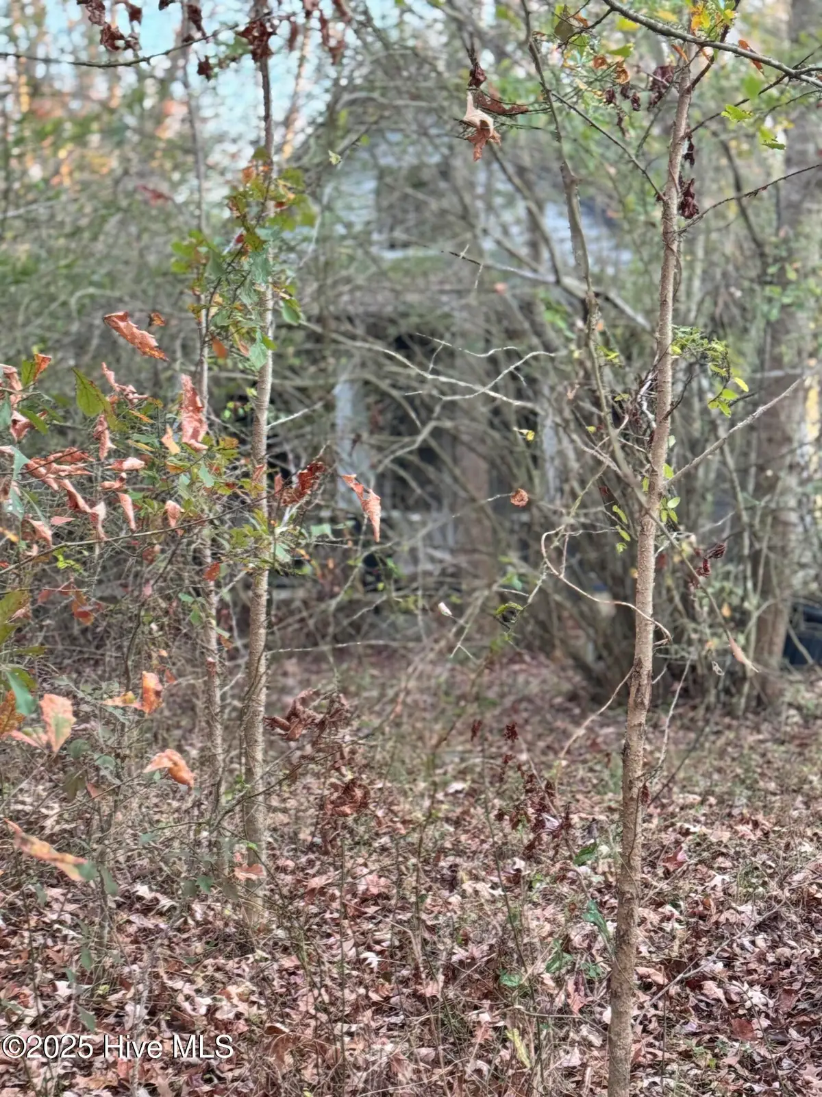 583 Okisko Road, Elizabeth City, NC 27909 - Image #1