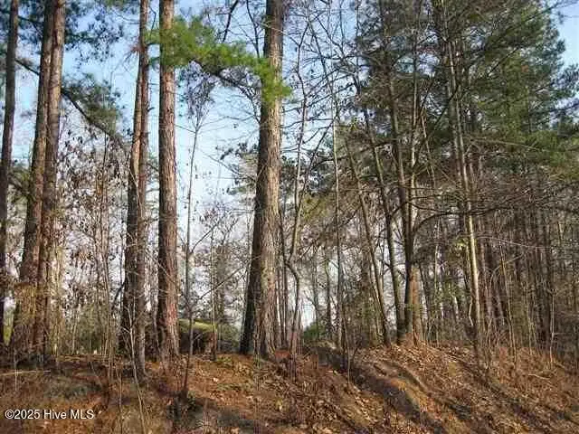 610 Gilchrist Road, Carthage, NC 28327 - Image #3