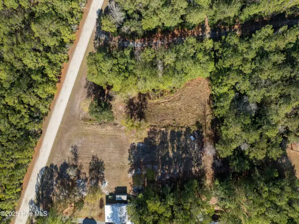 L1 Virginia Lane, Sneads Ferry, NC 28460