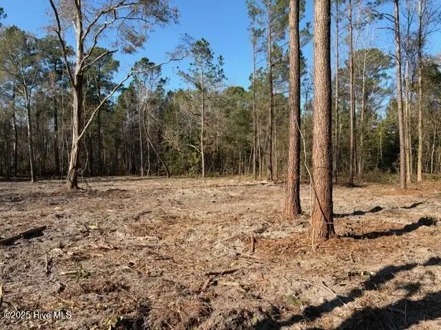 4401 Smith Trail Ne, Leland, NC 28451 - #2