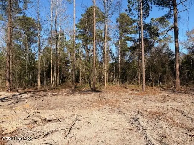 4401 Smith Trail Ne, Leland, NC 28451 - #3