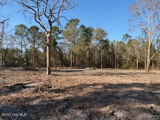 4402 Smith Trail Ne, Leland, NC 28451 - #2