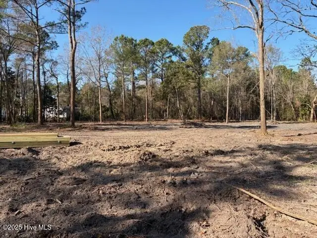 4403 Smith Trail Ne, Leland, NC 28451 - #2