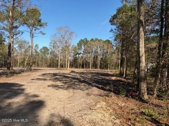 4404 Smith Trail Ne, Leland, NC 28451 - #2