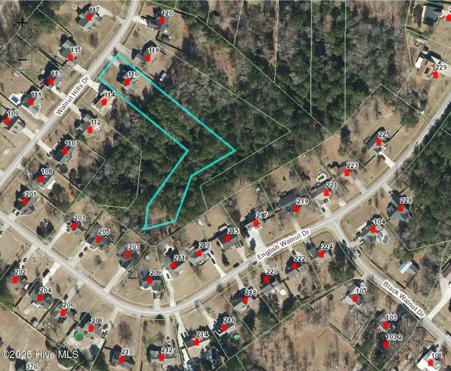 116 Walnut Hills Drive, Richlands, NC 28574 - Image #3