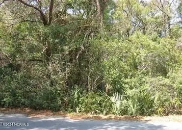 209 Muscadine Wynd, Bald Head Island, NC 28461 - Image #2