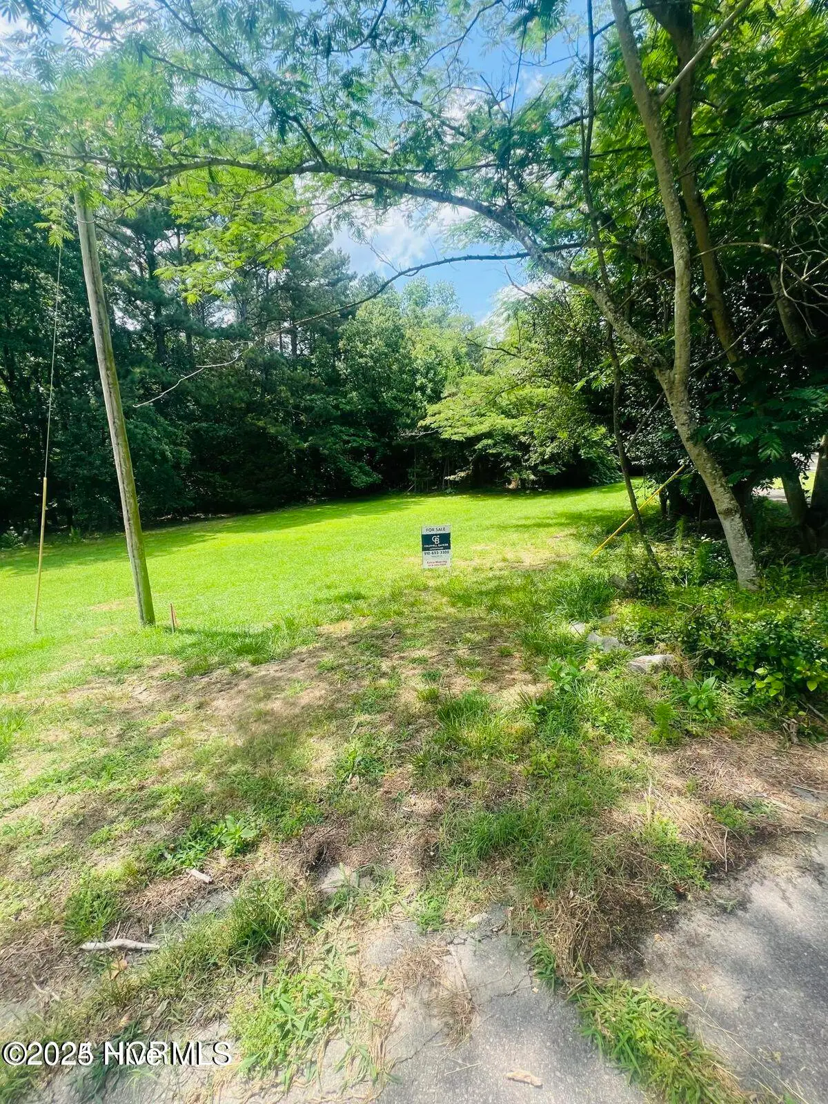 202 Millstone Court, West End, NC 27376 - #1