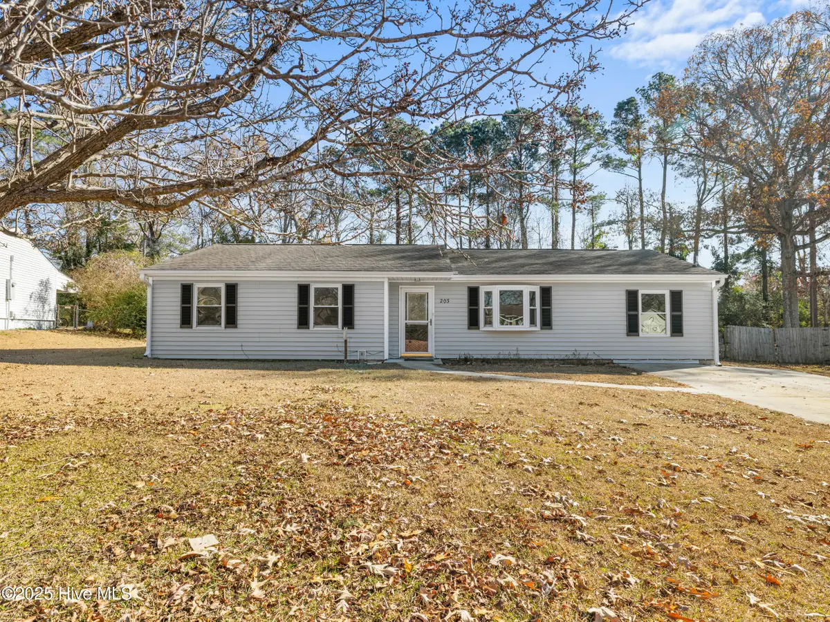 203 Devon Court, Jacksonville, NC 28546 - Image #1