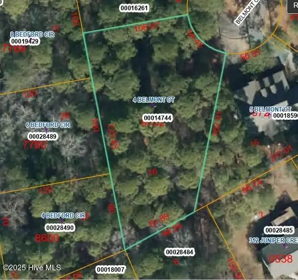 4 Belmont Court, Pinehurst, NC 28374 - #3