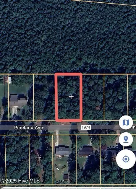 0 Pineland Avenue, Mount Olive, NC 28365