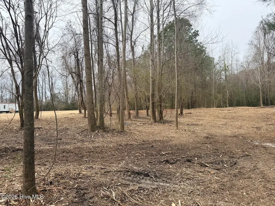 227 Langley Road, Chocowinity, NC 27817 - #3