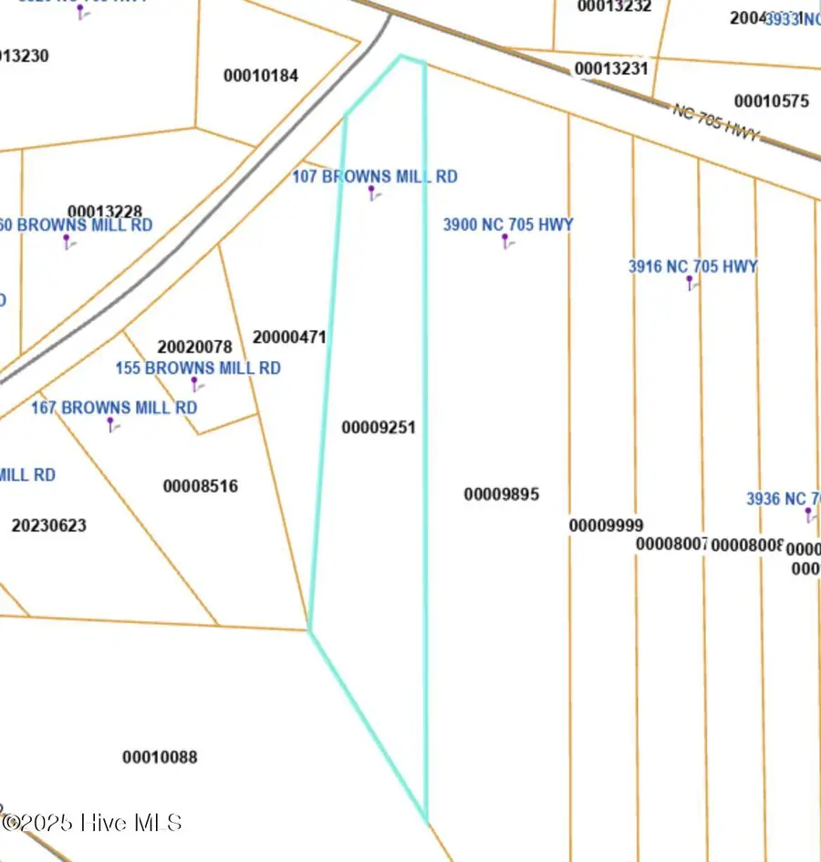 107 Browns Mill Road, Robbins, NC 27325 - #3