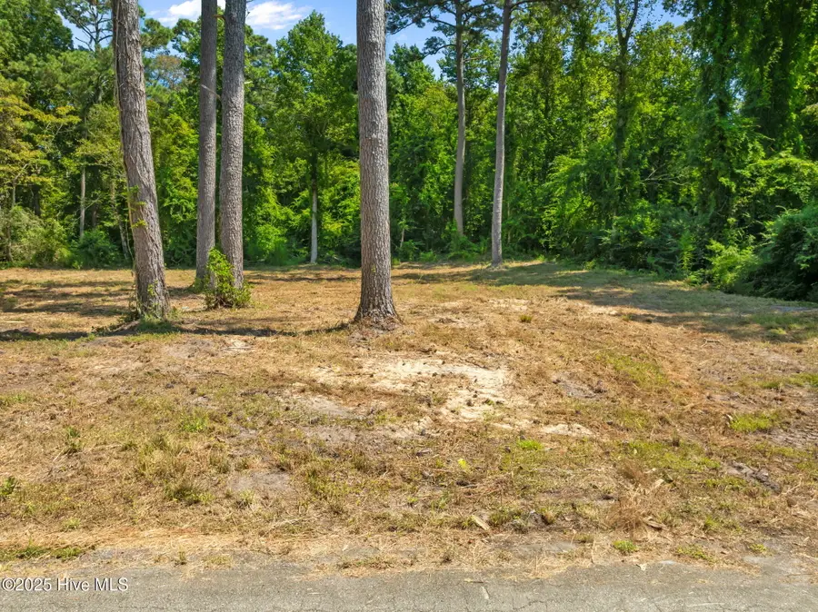 124 Jupiter Trail, Jacksonville, NC 28546 - Image #3