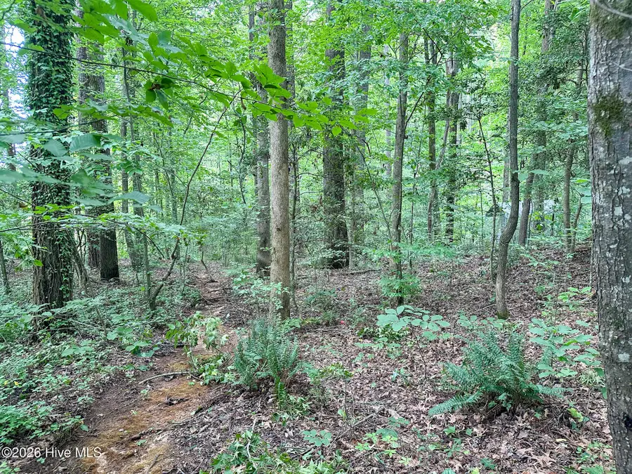 Tbd South Point, Sanford, NC 27332 - Image #3