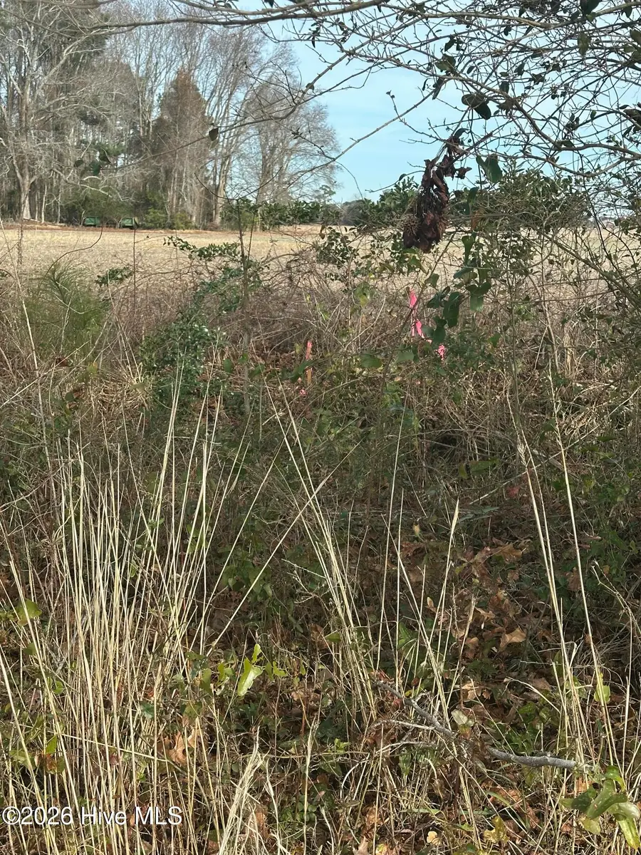 2 Fisher Landing Road, Jarvisburg, NC 27947 - Image #2