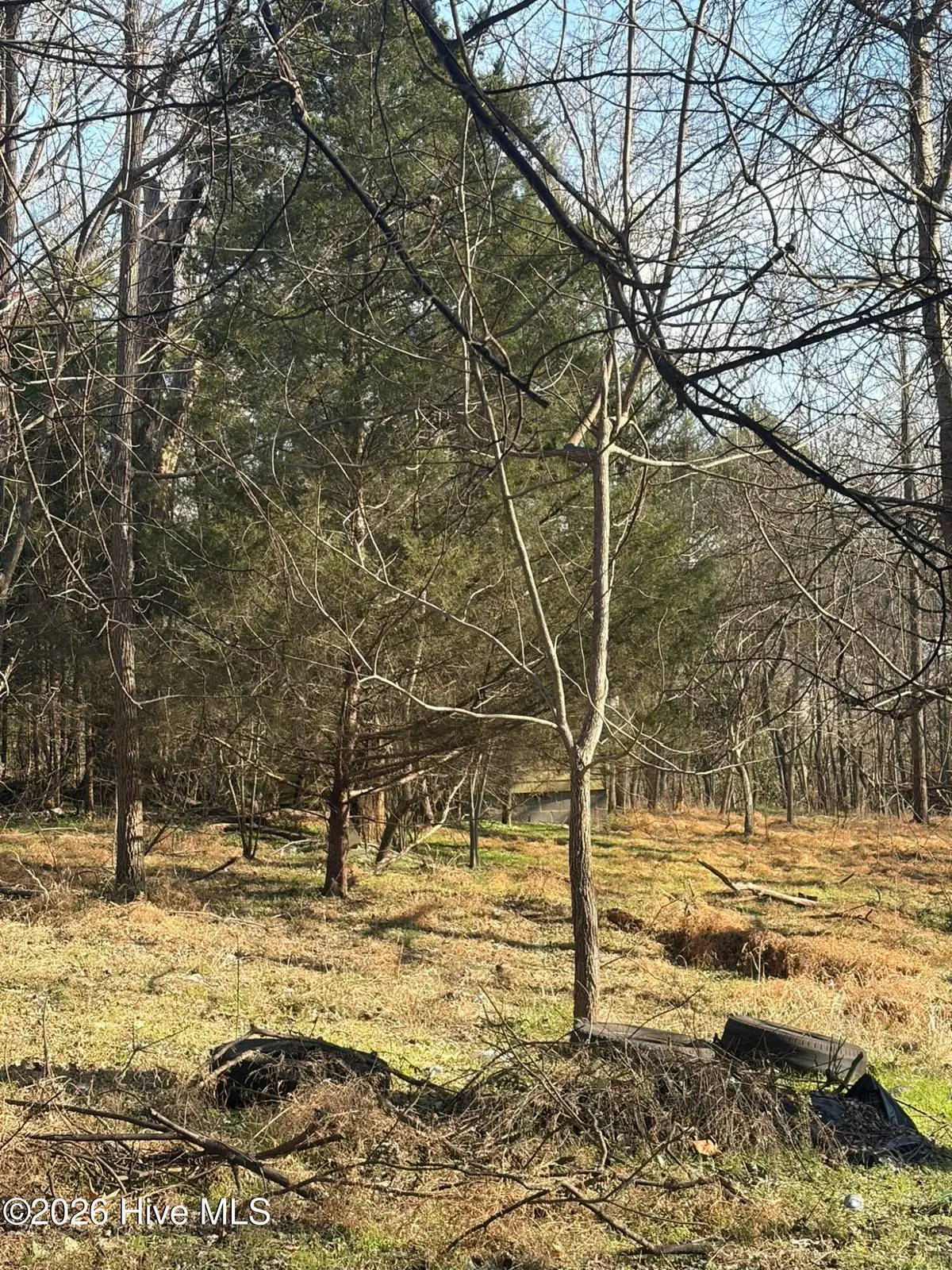 125 S Masonic Street, Pittsboro, NC 27312 - Image #1