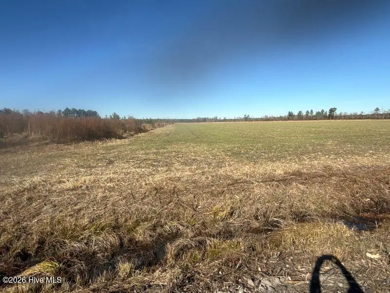 2020 N Carolina 903, Greenville, NC 27834 - Image #2