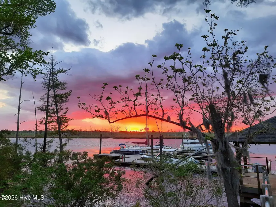 243 Sabal Pond Way, Castle Hayne, NC 28429 - Image #2