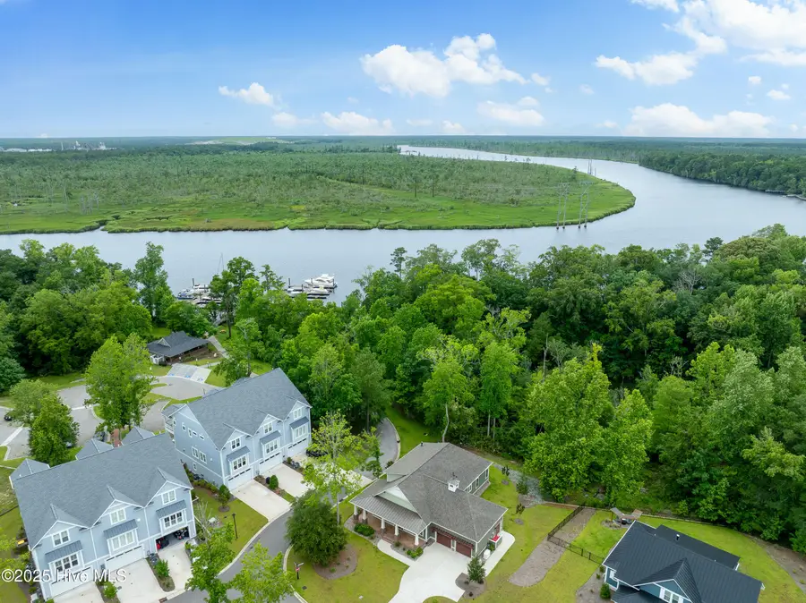 243 Sabal Pond Way, Castle Hayne, NC 28429 - Image #3