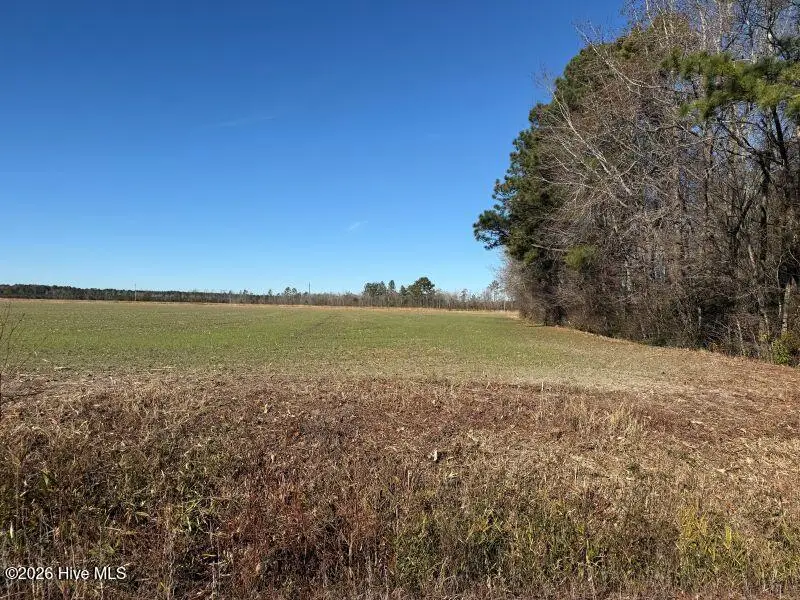 2056 N Carolina 903, Greenville, NC 27834 - Image #2