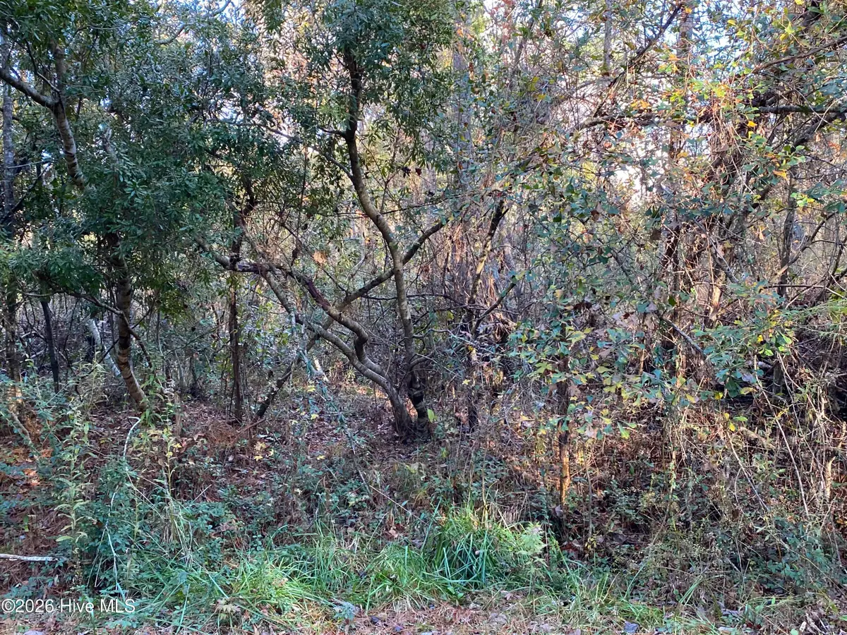 255 Wards Lane, Havelock, NC 28532 - Image #1