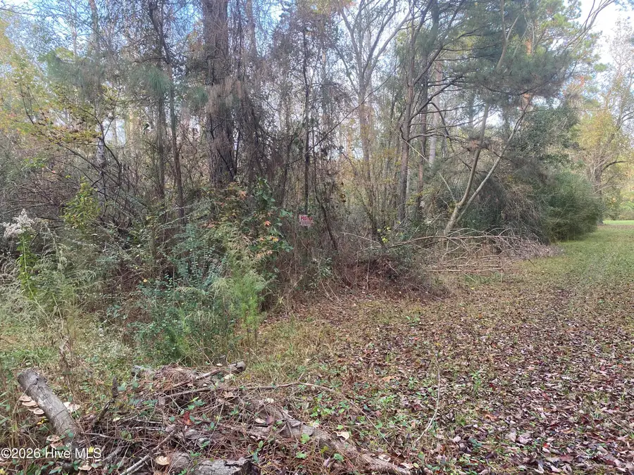 255 Wards Lane, Havelock, NC 28532 - Image #2