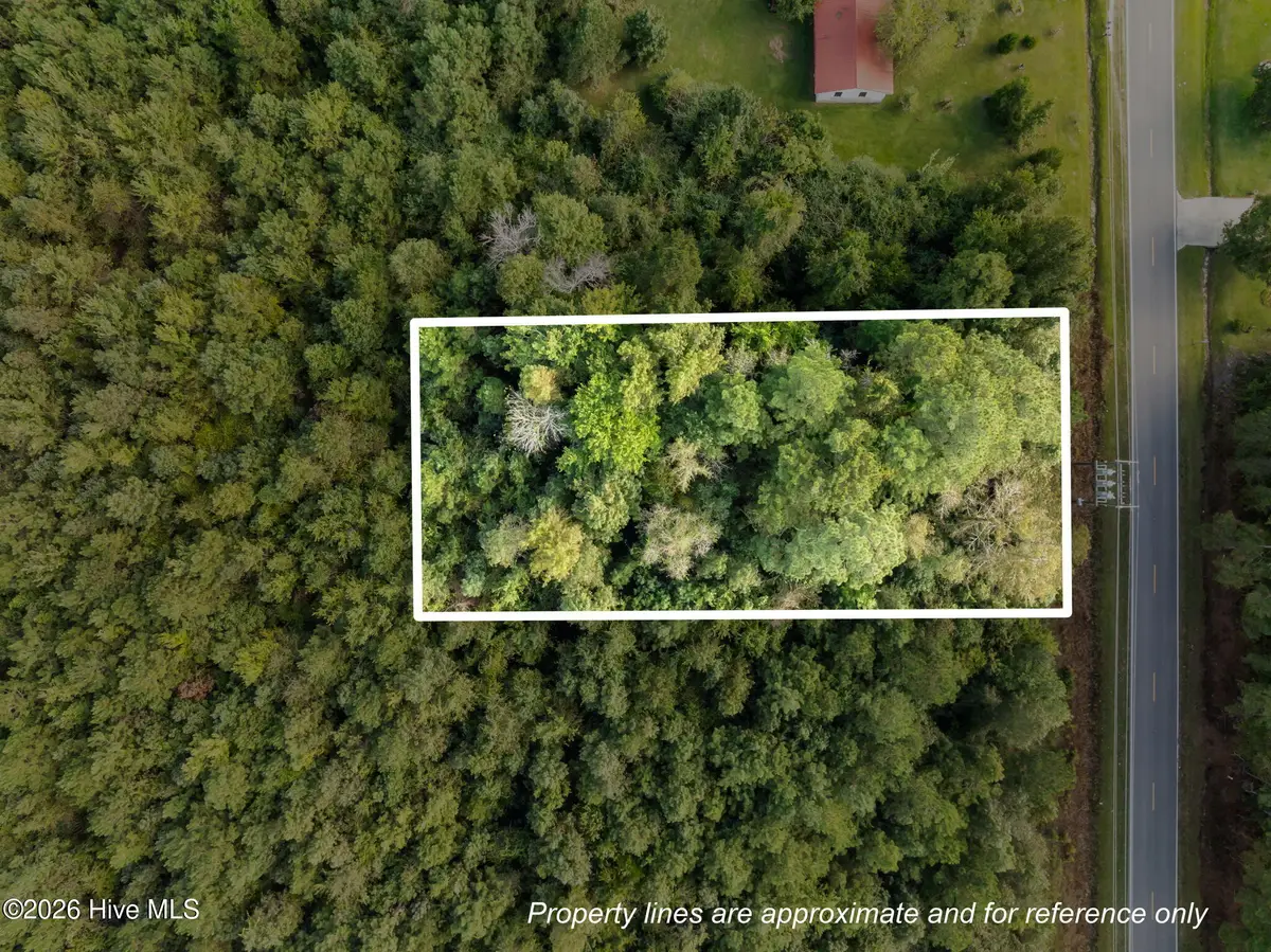 Tbd Gurganus Road, Maple Hill, NC 28454 - Image #1